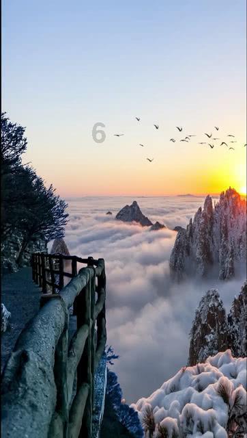 荔浦芋头怎么保存-知识星球平台,专注知识分享与交流